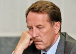 Алексей Гордеев назвал региональный бизнес-портал ненужной вещью