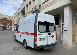 Лошадь покалечила рабочего на молочной ферме в Воронежской области 