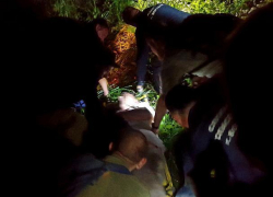 В воронежском лесу нашли ушедшего из больницы ослабленного пенсионера