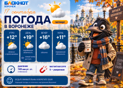 Ясно и без осадков: почти июльская погода придет в Воронеж