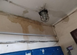 «РВК-Воронеж» отреагировал на историю с пятимесячным паром из подвала в доме на Новосибирской