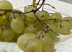 Откуда появляются "синяки" на винограде и как с ними бороться