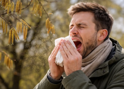 Высокая активность ольхи и лещины ожидается в Воронеже