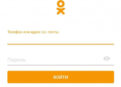 Тяжелобольной друг из «Одноклассников» оказался женщиной и обманул воронежанку на 195 тысяч