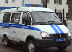 Пьяный воронежец на угнанном авто влетел в дерево и бросился наутек