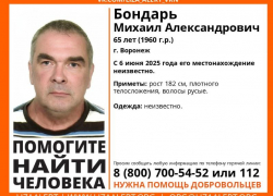 65-летний мужчина бесследно исчез в Воронеже