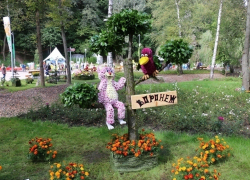 Победители VI международной выставки-ярмарки «Воронеж-Сад» проведут мастер-классы в рамках областного детского ландшафтного семинара