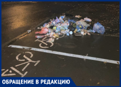 Как и почему велодорожка в Воронеже превратилась в вонючую тропу