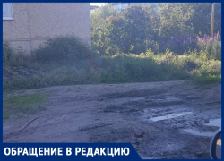 Сельская дорога из жутких сказок ужаснула воронежцев