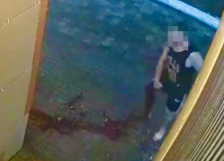 Смертельное ранение ножом попало на видео в Воронежской области 