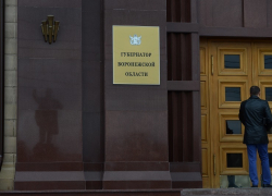 Чиновник без лица стал вице-премьером воронежского правительства 