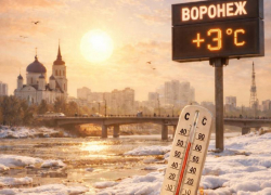 Весна близко: скромный плюс придет в Воронежскую область 