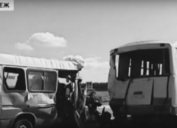 В Воронеже вышло видео против повышения проезда и «маршрутных королей» типа Дмитрия Крутских