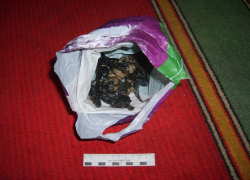 В Воронеже семья иностранцев-нелегалов с ребенком торговала героином