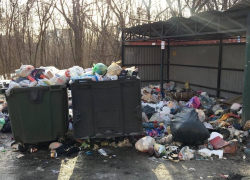 Мусорная свалка создала для водителей аварийную ситуацию в Воронеже