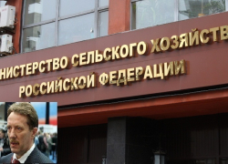 В Министерстве сельского хозяйства изучают возможность субсидировать воронежских аграриев 