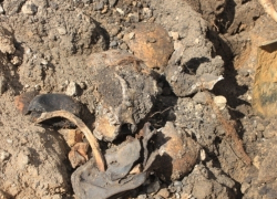 На стройке в Воронеже нашли человеческие останки 