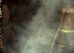 В Воронеже недалеко от аэропорта был пожар 