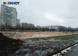 Сменились планы по земле, где располагался каток «Северное сияние» в Воронеже