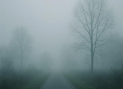 Пелена тумана скоро накроет Воронеж 