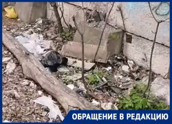 Вдоль забора сборного пункта протянулась огромная помойка в Воронеже 