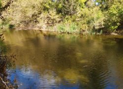 Со дна воронежской реки подняли автомобиль с трупами