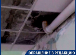 Дети получают мокрые знания из-за прохудившейся крыши в Воронеже