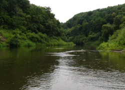 Воронежский учитель физкультуры получил 1,5 года колонии за гибель подростка в летнем лагере 