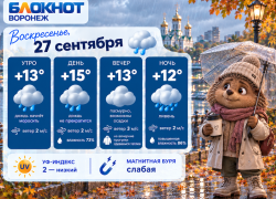 Осень не сдаётся: прогноз погоды в Воронеже