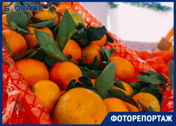 Что и почем можно купить в торговых рядах «Гринпарк» и «Озерки» 