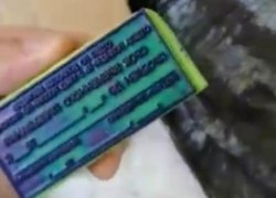 Бизнес по легализации мигрантов прикрыли оперативники в Воронеже