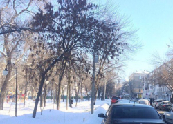 На выходных в Воронеже ожидается потепление