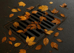 Работу ливневок оправдали воронежские чиновники 