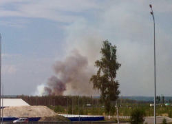 Воронежцы вновь ужаснулись черным клубам дыма в лесу у Отрожки