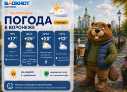 Осень пришла: прогноз погоды в Воронеже
