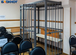 Нужно ли сажать в тюрьму за песни Верки Сердючки, ответили воронежцы