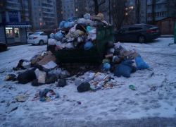 Жители нескольких домов в Левобережном районе могут встретить Новый год среди мусора и отходов