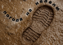 Не выходи из квартиры: прогноз погоды в Воронеже