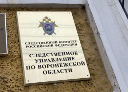 Названа предварительная причина гибели сторожа на воронежском предприятии 