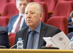 Спикер Нетесов нашел себе второго зама в виде финансиста из Воронежской облДумы