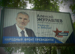В баннерах лидера воронежской «Родины» правозащитники разглядели незаконную агитацию