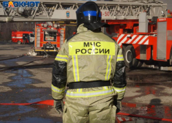Труп мужчины нашли в сгоревшем доме в Воронежской области 
