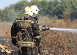 Воронежцев предупредили о запахе гари после лесного пожара в Сомово