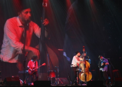 В Воронеже  Billy’s Band  вместе с Дельфином выступили на одной сцене (ФОТО)