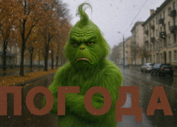 Какие осадки ждут Воронеж в ближайшие дни