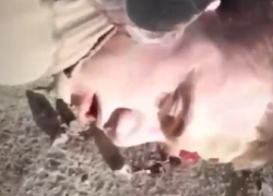  Опубликовано видео задержания солдата, расстрелявшего сослуживцев в Воронеже