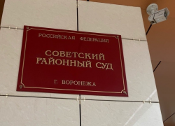 Мэрия через суд требует снести «Тип-Топ» в воронежском парке «Танаис»