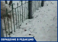 «Пусть у вас дома гадит»: жительница Воронежа эмоционально высказалась по поводу выгула собак во дворах