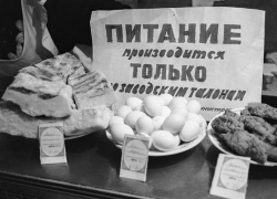 Как власти поставили воронежцев на грань выживания