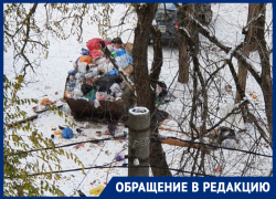 Вороны и разбросанный мусор: воронежцы возмутились софинансированием дополнительного благоустройства двора 